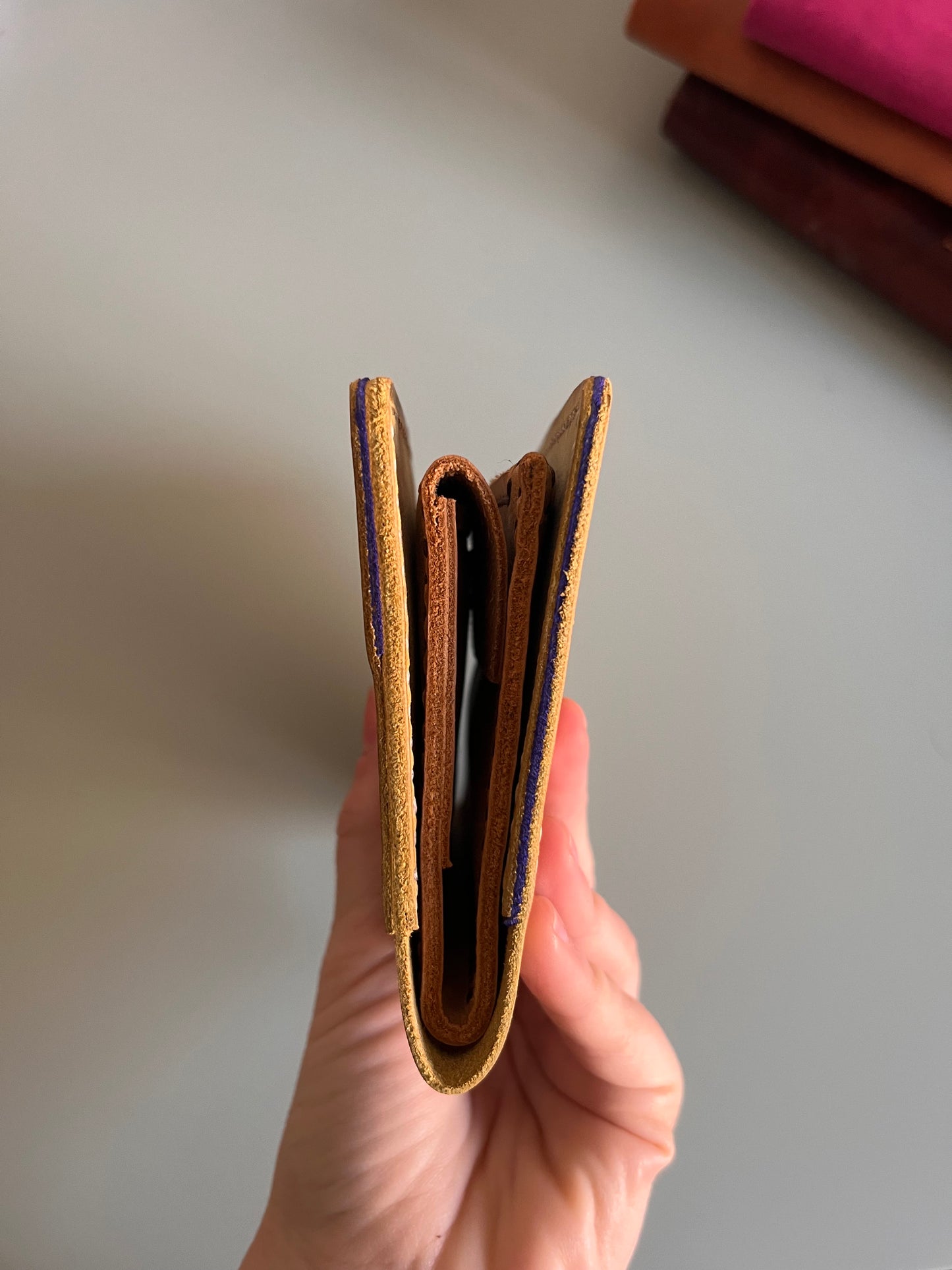 Insert Wallet Passport Size